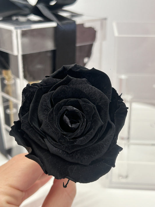 ACRYLIC ROSE BOX - BLACK