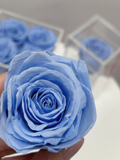 ACRYLIC ROSE BOX - POWDER BLUE