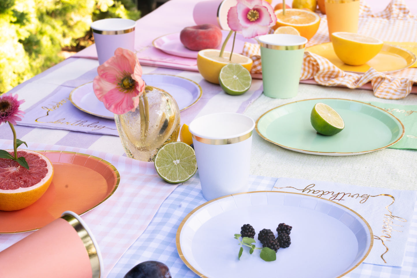 colourful paper plates displayed on a table with matching cup and napkins 