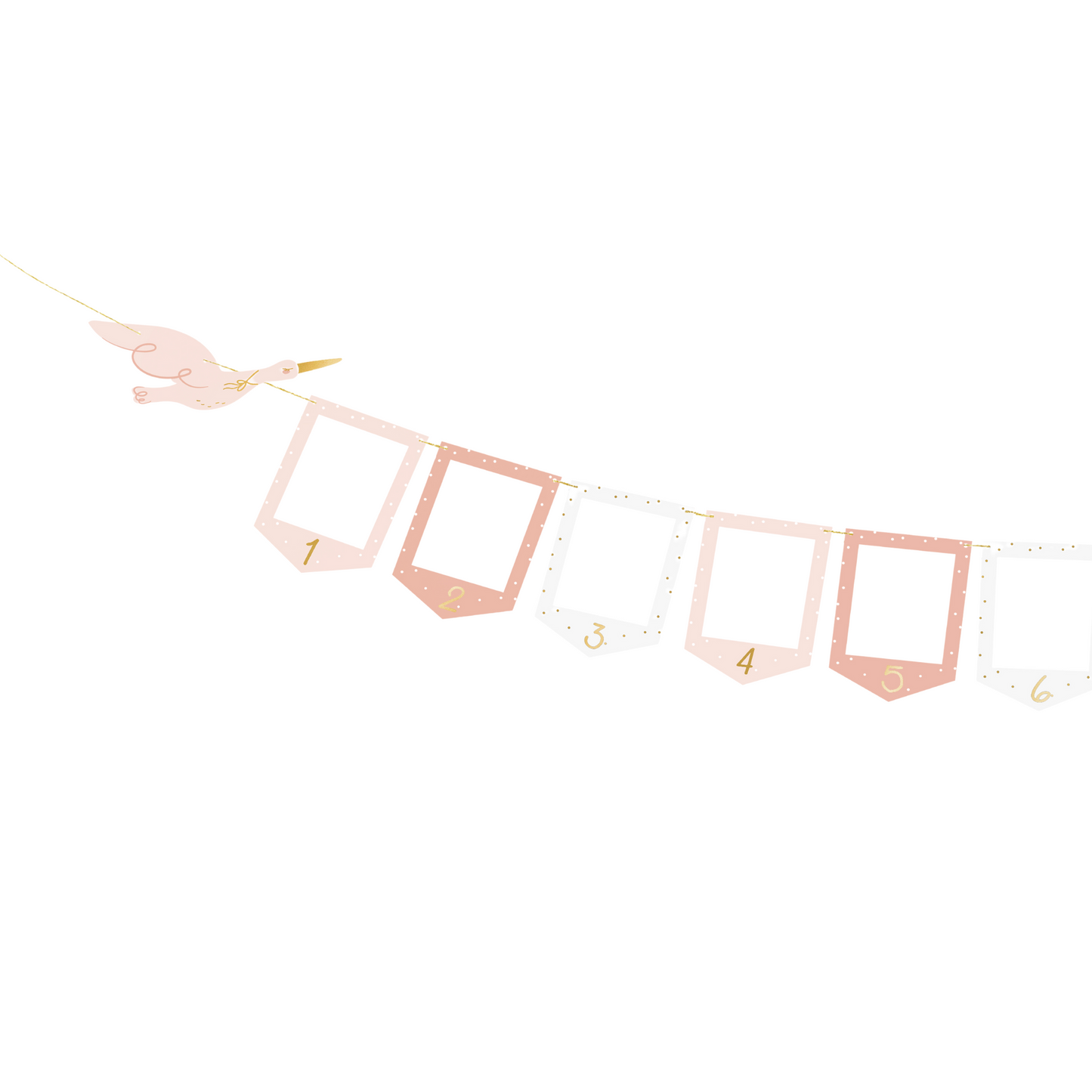 PINK PHOTO FRAME BANNER