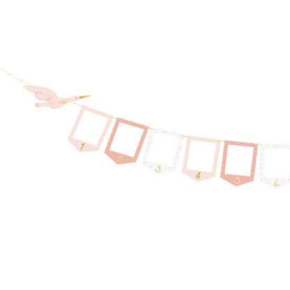 PINK PHOTO FRAME BANNER