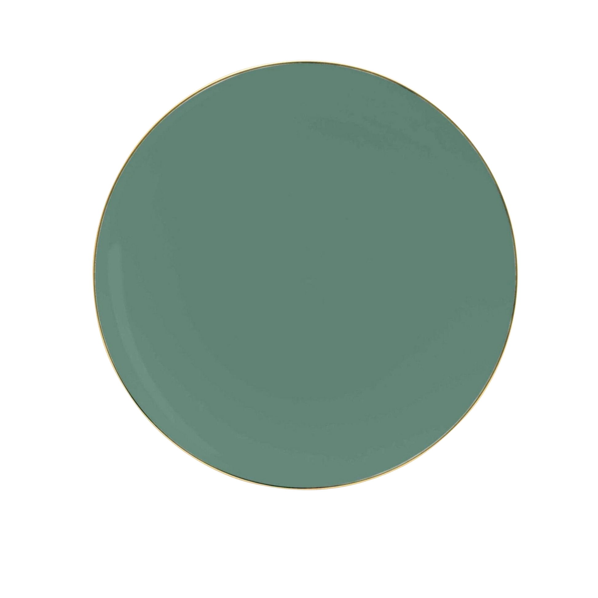 sage green plastic dinner plates