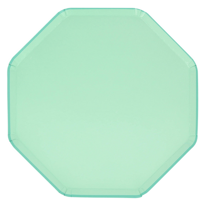 sea foam green dinner plates by meri meri 