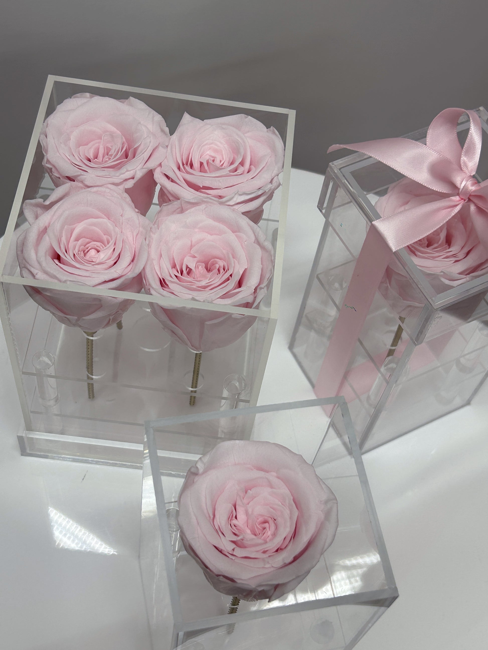 soft pink preserved rose box singles + box of 4- lasts 3 years +