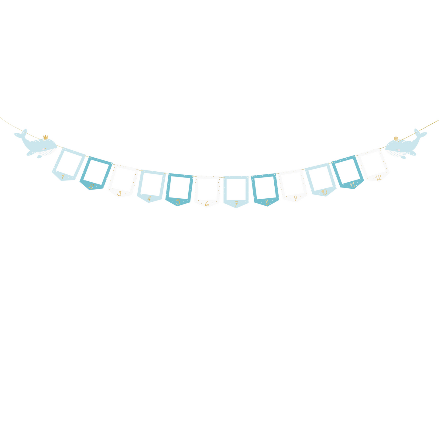 BLUE PHOTO FRAME BANNER