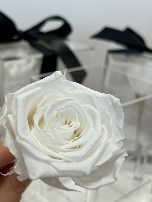 white acrylic rose boxes toronto 